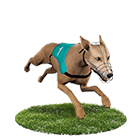 娛樂城現金娛樂城白金賽狗 娛樂城現金娛樂城白金賽狗